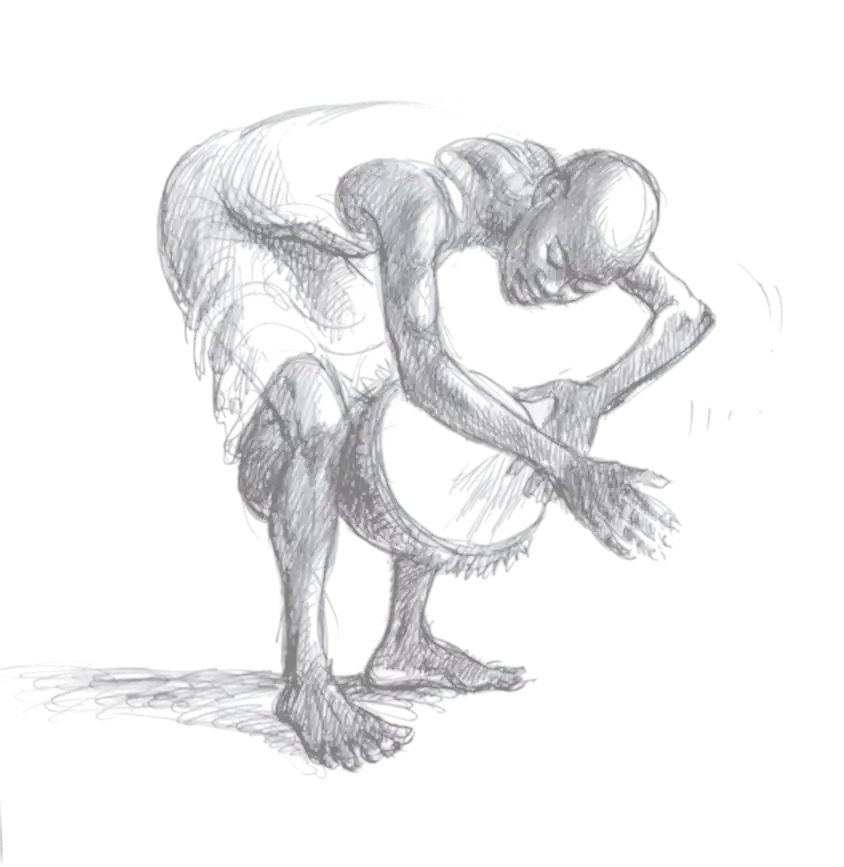 image 113 - Dwell Studios -